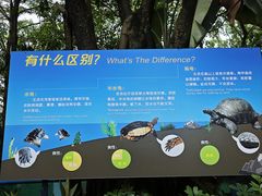 -广州长隆飞鸟乐园