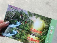 -南丹山森林王国