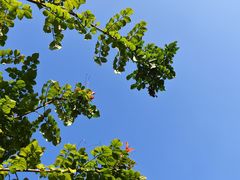 -西南政法大学(渝北校区)