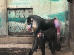 -昆明动物园