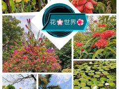 -中国科学院华南植物园