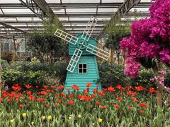 -南宫五洲植物乐园