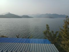 -望湖烤鱼