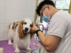 -宠爱国际动物医院(德胜门店)