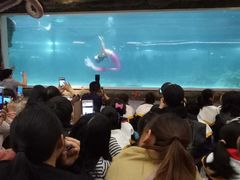 -绍兴梦享海洋公园