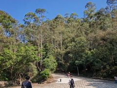 -大雁山风景区