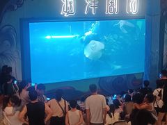 -洛阳龙门海洋馆