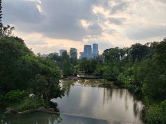 -云溪植物园
