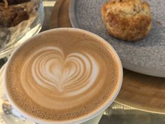 -MOLECULECOFFEE.MANDO 莫勒喝咖啡