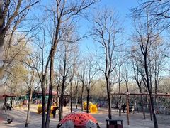 -郑州植物园