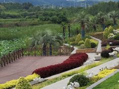 -溧水东庐山服务区-停车场