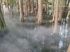 -东湖落雁景区