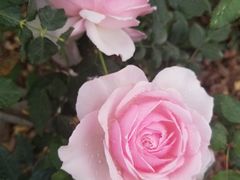 -人民公园(罗湖区)