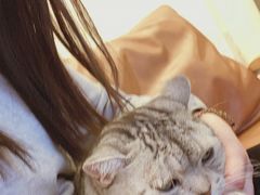 -猫友咖啡店(玉林西路店)