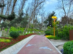 -燕儿岛山公园