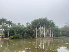 -中国科学院西双版纳热带植物园