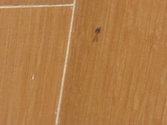 -全季酒店（上海南站徐汇万科中心店）(原冠生园路店)