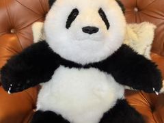 -小吊梨汤·北京菜·烤鸭(白石桥南店)