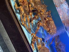 -阿伟海鲜楼·福建菜(延寿店)