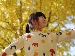 -三里屯东五街银杏大道