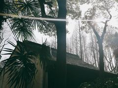 -上海方塔园