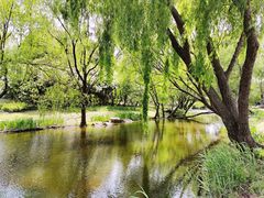 -上海滨江森林公园