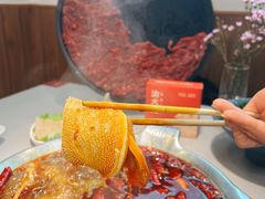 -渝大龙重庆火锅(温泉月亮湾店)