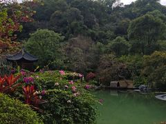 -云溪植物园