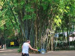 -晓港公园