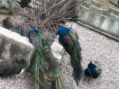 -南京金牛湖风景区