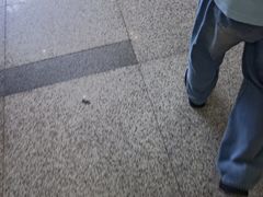 -肥肥虾庄·金牌油焖大虾(汉口城市广场店)