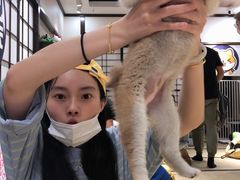 -逗柴咖啡屋·狗咖猫咖宠物桌游