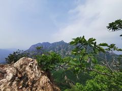 -大连天门山国家森林公园