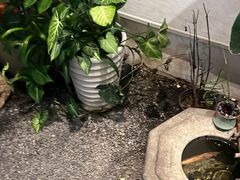-德迹斋禅意文化茶馆·茶空间·商务洽谈•宴席(桃园店)