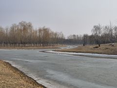 -东郊湿地公园