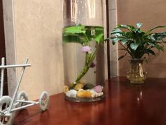 -碧水湾温泉
