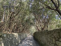 -普陀山风景区-佛顶山
