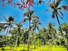 -中国科学院西双版纳热带植物园