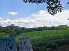 -敬亭山风景名胜区