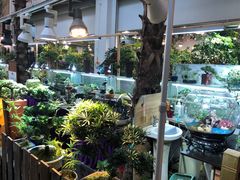 -双季花艺园艺市场(浦东店)