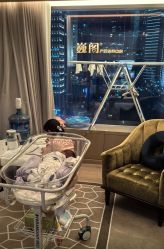 -巍阁高端月子会所