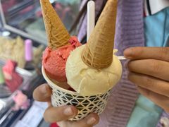 -Vola Gelato意大利手工冰淇淋(朝阳大悦城店)