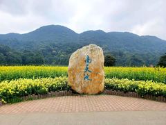 -广州市石门国家森林公园