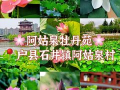 -西安青龙寺遗址景区