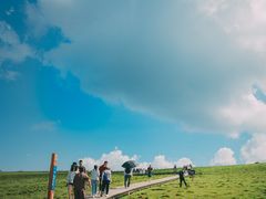 -芦芽山旅游度假区