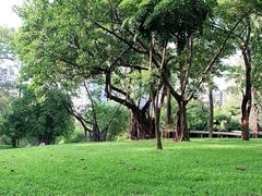 -晓港公园