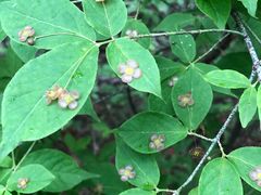 -峡谷浮石林景区