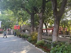 -练塘古镇