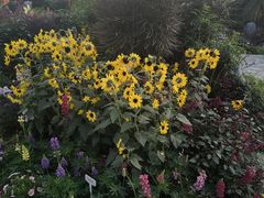 -东莞植物园