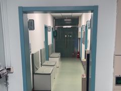 -北京观赏动物医院·24小时大型综合·猫专科·异宠专科
